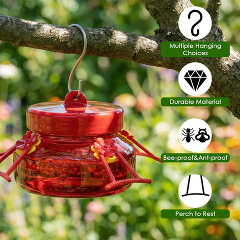 6 Oz Glass Hummingbird Feeders For Outdoors Hanging 2 Pack Mason Jar Style With 4 Realistic Silicone Flower Ports Perches Easy To Clean Refill Red For Gardens And Patios hanging on tree branch