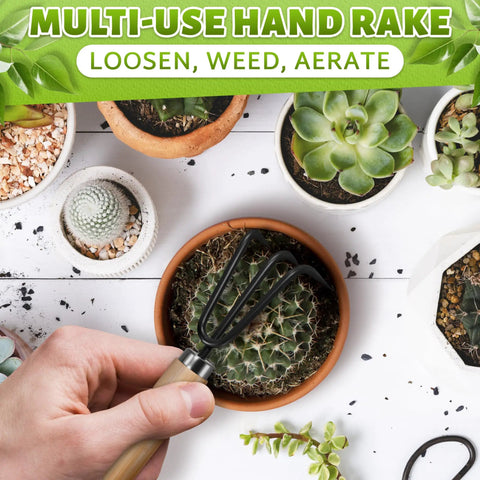 Mini 3 Piece Garden Tool Set With Trowel Shovel And Hand Rake For Indoor Plants Rust Resistant Iron And Solid Wood Handles
