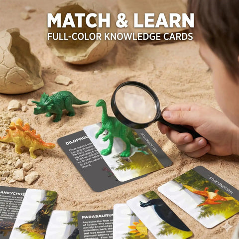 Child using magnifier with 24 Dino Eggs Dig Kit For Kids With Magnifier And Excavation Tools, STEM Dino Egg Discovery Set