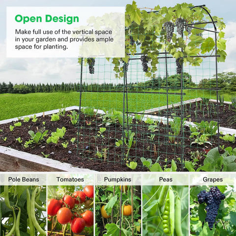 7Ft Arch Trellis For Climbing Plants With Adjustable Width And Sturdy Metal Tunnel Design Nylon Netting Included Perfect Garden Archway For Vines Vegetables Fruits And Flowers Easy Set Up And Ground Clearance in garden setting with vertical growth of grapes and vegetables.