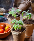 Eco Friendly Peat Pots For Seedlings 3.15 Inch Biodegradable Seed Starter Pots with seedlings and garden tools on wooden table