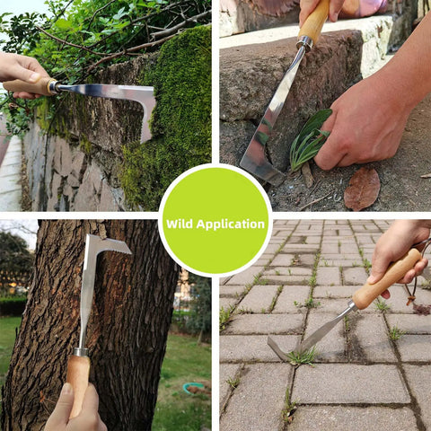 Crevice Weeding Tool With Serrated Tines, Stainless Steel Crack Weeder For Driveways, Sidewalks And Patio Cracks That Effortlessly Removes Weeds And Moss With An L Shaped Blade, used on stone and pavers