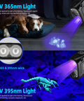 Dope Ultra Bright UV Flashlight 365nm And 395nm Blacklight illuminating scorpions and pet urine detection with dark background