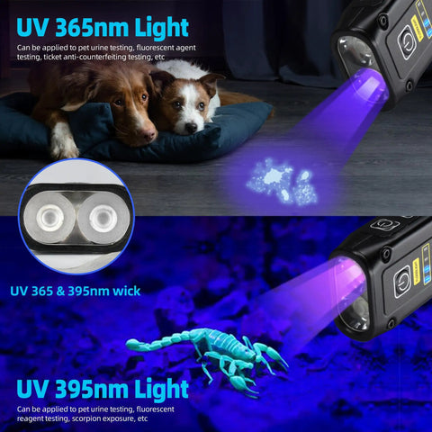 Dope Ultra Bright UV Flashlight 365nm And 395nm Blacklight illuminating scorpions and pet urine detection with dark background