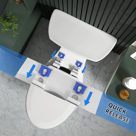 Top Shelf Molded Wood Toilet Seat Slow Close Lid High Gloss White Elongated Shape with quick detach hinges demonstrated.
