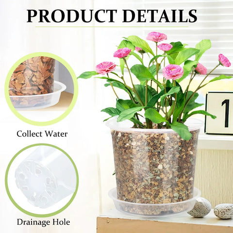 Clear Nursery Pots With Drainage Holes And Saucers, 40 Pack In 4, 5, 6, 7 Inch Sizes, showing drainage and water collection details.