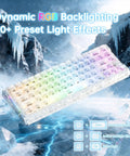 Top Shelf Compact Wired Gaming Keyboard With Hall Effect Magnetic Switches And 8Khz Polling Rate Delivering Blazing Response Adjustable Rapid Trigger Hot Swap RGB and No Lag Precision with dynamic RGB backlighting in icy setting.