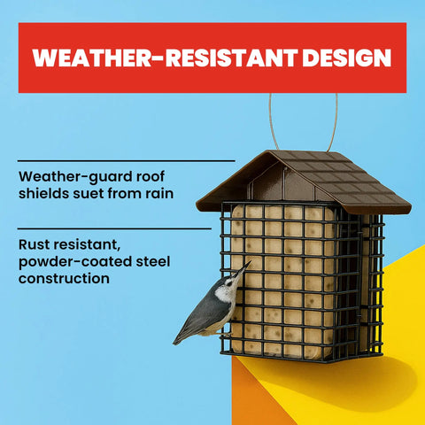 Double Suet Cake Feeder With Weather Guard Built To Last Steel Construction Black Powder Coat Finish Holds Two Suet Cakes To Attract Woodpeckers And Backyard Birds Weatherproof Bird Feeder For Year Round Feeding Measures 6.75 By 5 By 7 Inches with bird eating