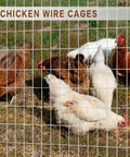Heavy Duty Galvanized Welded Wire Fence Roll 4 Ft By 100 Ft With 2x4 Inch Mesh, 16 Gauge Hardware Cloth For Strong Backyard Protection And Poultry Netting, Garden Fence, shown with chickens behind wire mesh