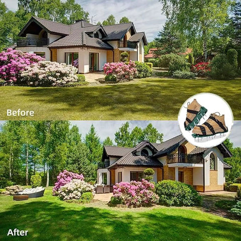 Before and after lawn images with Heavy Duty Lawn Aerator Shoes With Adjustable Straps Spiked Sandals shown in inset.
