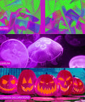 200W LED Black Purple Flood Light illuminating fluorescent painting, aquarium jellyfish, and Halloween pumpkins glowing in dark