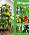 Heavy Duty Cucumber Trellis With Adjustable 17 To 50 Inch A Frame, all metal mesh design, supporting cucumbers and plants outdoors