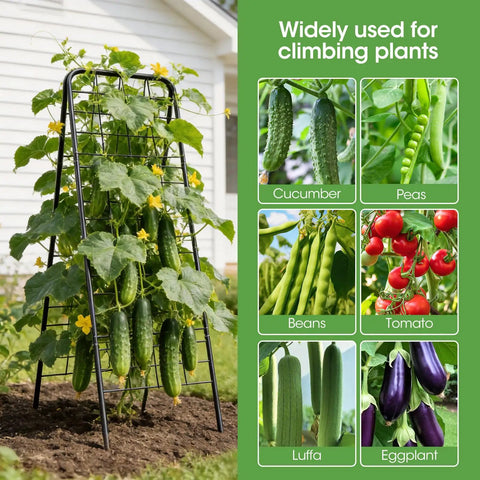 Heavy Duty Cucumber Trellis With Adjustable 17 To 50 Inch A Frame, all metal mesh design, supporting cucumbers and plants outdoors