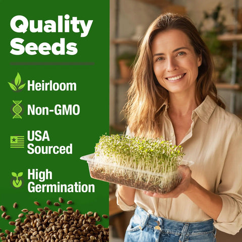 Woman holding container with alfalfa sprout seeds 8 oz bulk heirloom non-GMO USA sourced high germination microgreens