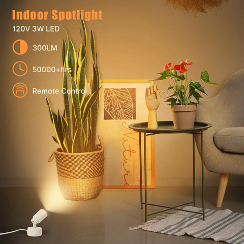 Dope 5W LED Indoor Spotlight Kit With Remote Dimmable And Timer 3 CCT Uplighting for Plants and Art on Accent Wall