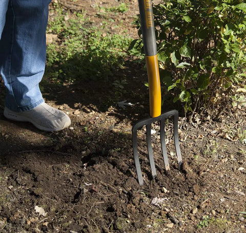 Person using 4 Tine Forged Spading Fork With 30 Inch Hardwood Handle And Poly D Grip For Maximum Leverage in garden soil