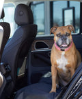 Dog sitting on Waterproof Dog Car Seat Cover For Back Seat 56 By 47 Inches Pet Friendly Spillproof Protector with secure anchors in a car.