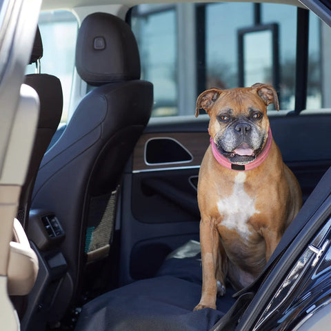 Dog sitting on Waterproof Dog Car Seat Cover For Back Seat 56 By 47 Inches Pet Friendly Spillproof Protector with secure anchors in a car.