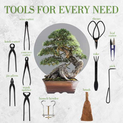 15 Piece Bonsai Master Tools Set With Case Including Heavy Duty Shears Concave Cutter Knob Cutter Wire Cutter Leaf Trimmer Root Rake Branch Benders Jin Pliers Root Cutter Trunk Splitter Moss Brush And More For Beginner Friendly Bonsai Care