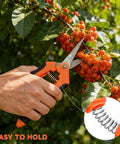 4 Pack Garden Pruning Shears Set With Stainless Steel Blades And Comfort PP TPR Handles cutting red berries on tree