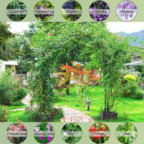 Rustproof Metal Garden Arch Trellis With PE Coating, Easy Assembly, 7.9 Ft High By 4 Ft Wide, lush garden setting