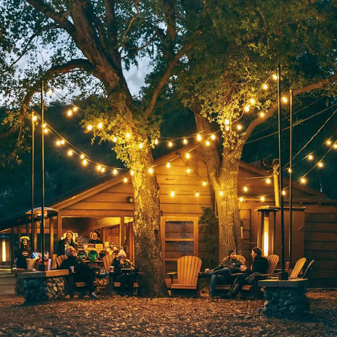 Outdoor patio with string lights illuminating trees, using 26 Pack S14 Light Bulbs For Outdoor String Lights With 11 Watt E26 Medium Base Clear Glass.