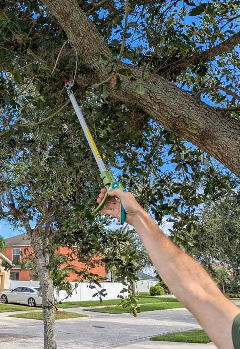 Person using 32 Inch Pole Pruner With Long Reach No Ladder Required For Safe Pruning One Hand Use Snip Grip Technology on tree branch