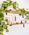 Wall-mounted open shelves with plants using Beefy Heavy Duty Shelf Brackets Set 4 Pack Premium Construction Grade Quarter Inch Thick Steel Matte Black Finish L Bracket With Lip For Modern Farmhouse Open Shelving Hardware Included 11.25 By 6 Inches.