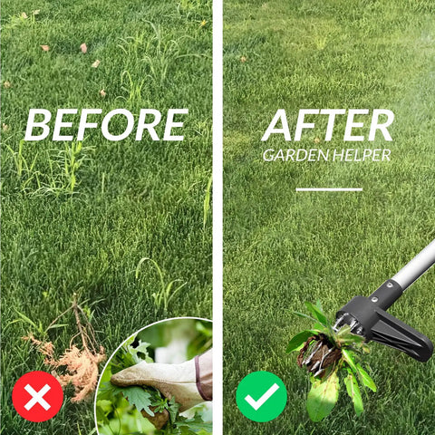 Before and after using Upgraded Stand Up Weed Puller With 38 Inch Long Handle Five Claw Root Puller For Dandelions Back Friendly Weeding Tool