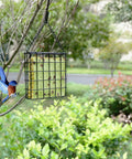 Two Pack Outdoor Suet Cage Bird Feeders For Outside Hanging With One Suet Cake Capacity And Fruit, Seed Or Nesting Material Options, Easy Top Load Design, Durable Black Finish For Wild Birds In Garden Or Patio