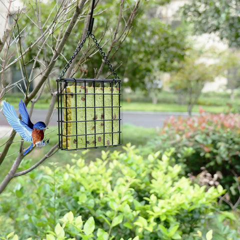 Two Pack Outdoor Suet Cage Bird Feeders For Outside Hanging With One Suet Cake Capacity And Fruit, Seed Or Nesting Material Options, Easy Top Load Design, Durable Black Finish For Wild Birds In Garden Or Patio