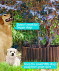 Dogs near a tree with a wooden garden edging border installed, showing effectiveness for small dogs, border size 11.8 in high by 42 in long.