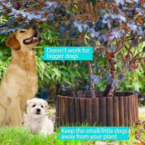 Dogs near a tree with a wooden garden edging border installed, showing effectiveness for small dogs, border size 11.8 in high by 42 in long.