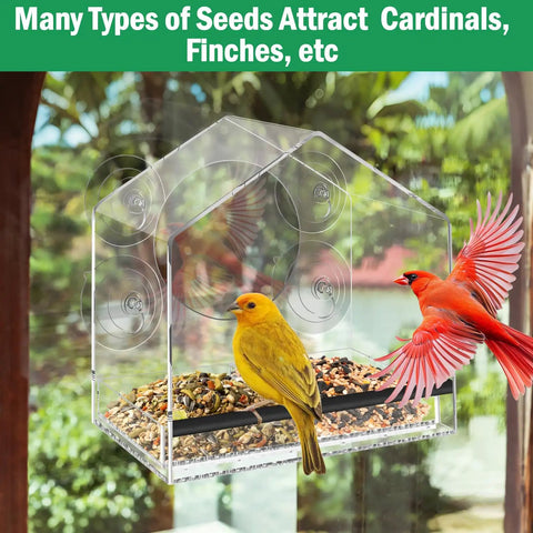 Window Bird Feeder With Four Extra Strong 2.36 Inch Suction Cups And Extra Deep Removable Tray for cardinals and finches.