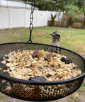 Large Capacity Hanging Bird Feeder For Garden And Yard Outdoors With Metal Mesh Platform And Fine Mesh Tray Holds Up To 3 Lb Of Seeds Easy Refill No Mess Attracts More Birds And Keeps Feeding Fresh