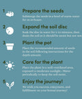 All In One Bonsai Growing Kit For Beginners With Seeds Norway Spruce Royal Poinciana Blue Jacaranda And Rocky Mountain Pine care steps