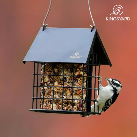 Double Suet Bird Feeder with Weatherproof Roof and Perches All Metal Cage for Outdoors Hanging Easy to Clean and Refill Rust Resistant Black