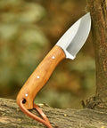 Five Point Five Inch Handmade Hunting Skinning Knife With Two Inch D2 Steel Fixed Blade And Three Point Five Inch Olive Wood Handle