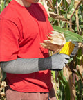 Person wearing long gardening gloves with cut resistant sleeves and anti slip nitrile coated palms for a solid grip in a cornfield