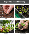 Fifteen Pack Seed Starter Trays With 72 Cells Each 1080 Cells Total Plastic Seedling Trays Kit for sowing and transplanting.