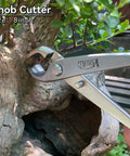 Using knob cutter on bonsai for shaping. Part of 6 Piece Bonsai Tool Set Pro Grade With Concave Cutter, Knob Cutter, Jin Pliers, Wire Cutter