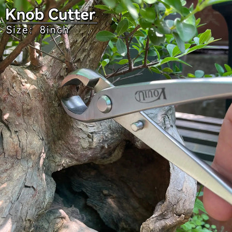 Using knob cutter on bonsai for shaping. Part of 6 Piece Bonsai Tool Set Pro Grade With Concave Cutter, Knob Cutter, Jin Pliers, Wire Cutter