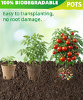 Eco Friendly 3.15 Inch Peat Pots Set Of 60 Biodegradable Seed Starter Pots With 60 Labels For Seed Starting And Garden Germination