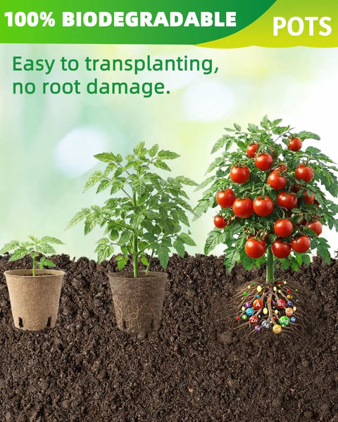 Eco Friendly 3.15 Inch Peat Pots Set Of 60 Biodegradable Seed Starter Pots With 60 Labels For Seed Starting And Garden Germination