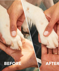 Before and after using Pet Nail Grinder And Trimmer Kit Cordless And Rechargeable For Dogs Cats And Small Animals with nail guard.