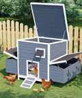 Gray sturdy wooden chicken coop with two nesting boxes and lockable doors, weatherproof roof open, in a garden setting