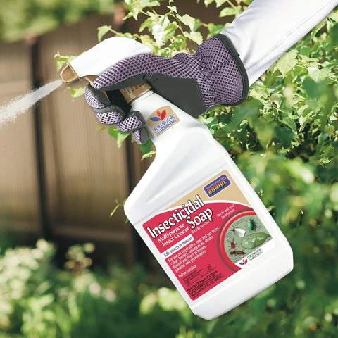 Person spraying plants with Insecticidal Soap Ready to Use Spray for Organic Gardening and Indoor Outdoor Pest Control 32 Oz.