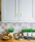 Slim 3 Inch Center to Center Brushed Brass Cabinet Handles on white kitchen cabinets above countertop with plants.