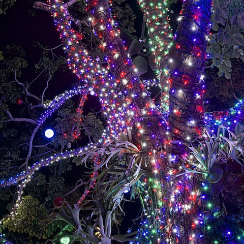 Patriotic 200 LED 66Ft Fairy String Lights With 8 Lighting Modes For Indoor And Outdoor Decor In Red White And Blue Perfect For Independence Day Parties Trees And Holiday Celebrations wrapped around tree branches at night.
