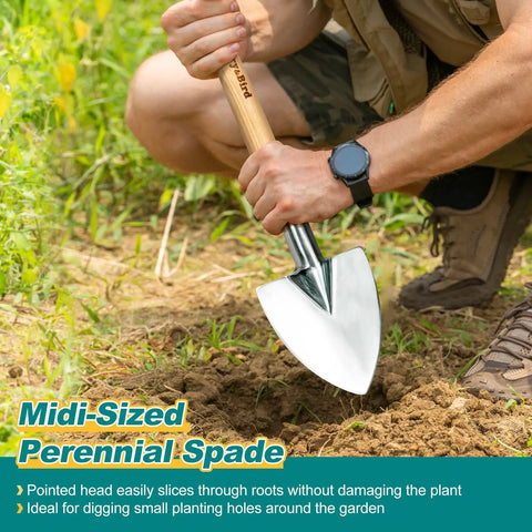 Gardener using a Perennial Spade Trowel 21.6 Inch Long With Sharp Stainless Steel Blade And Wooden Handle for digging